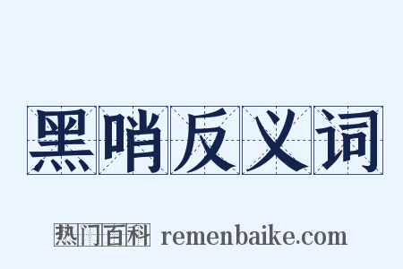 黑哨反义词是什么意思的图片